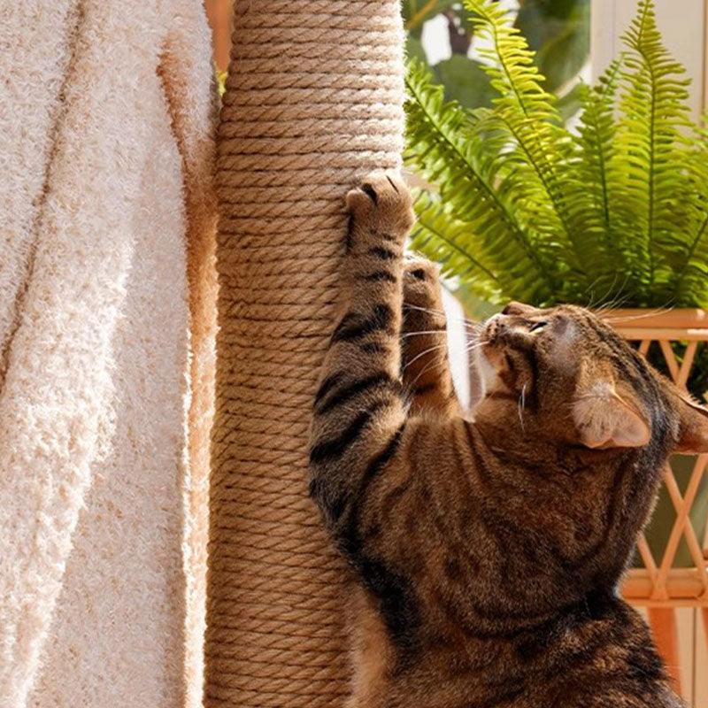 Deluxe Large Cat Climbing Frame Treehouse