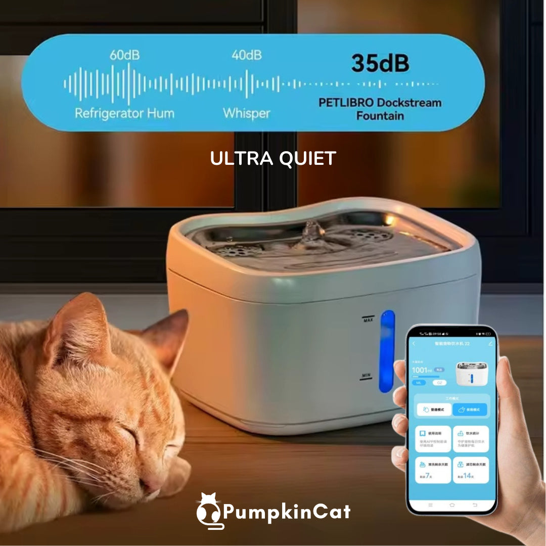 FelinePure Smart