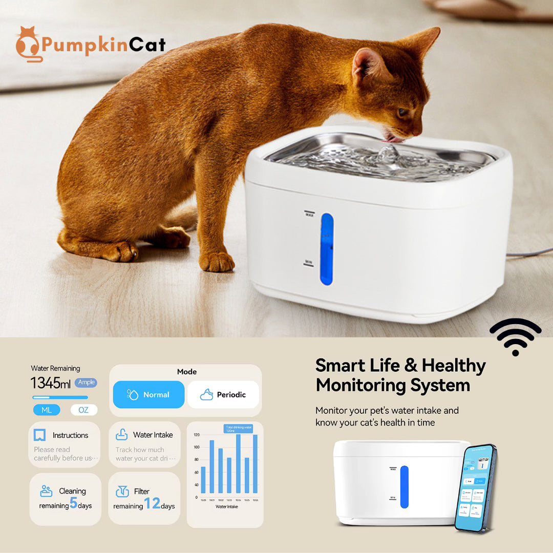 FelinePure Smart