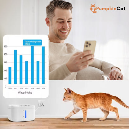 FelinePure Smart
